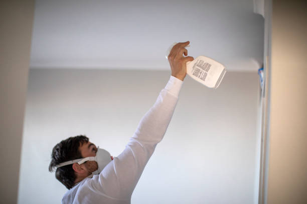 Best Black Mold Removal  in Ely, NV
