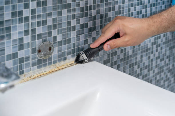 Best Mold Removal Company Near Me  in Ely, NV
